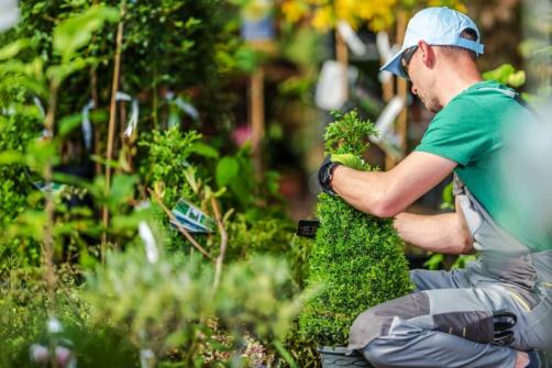 entreprise d'espace vert